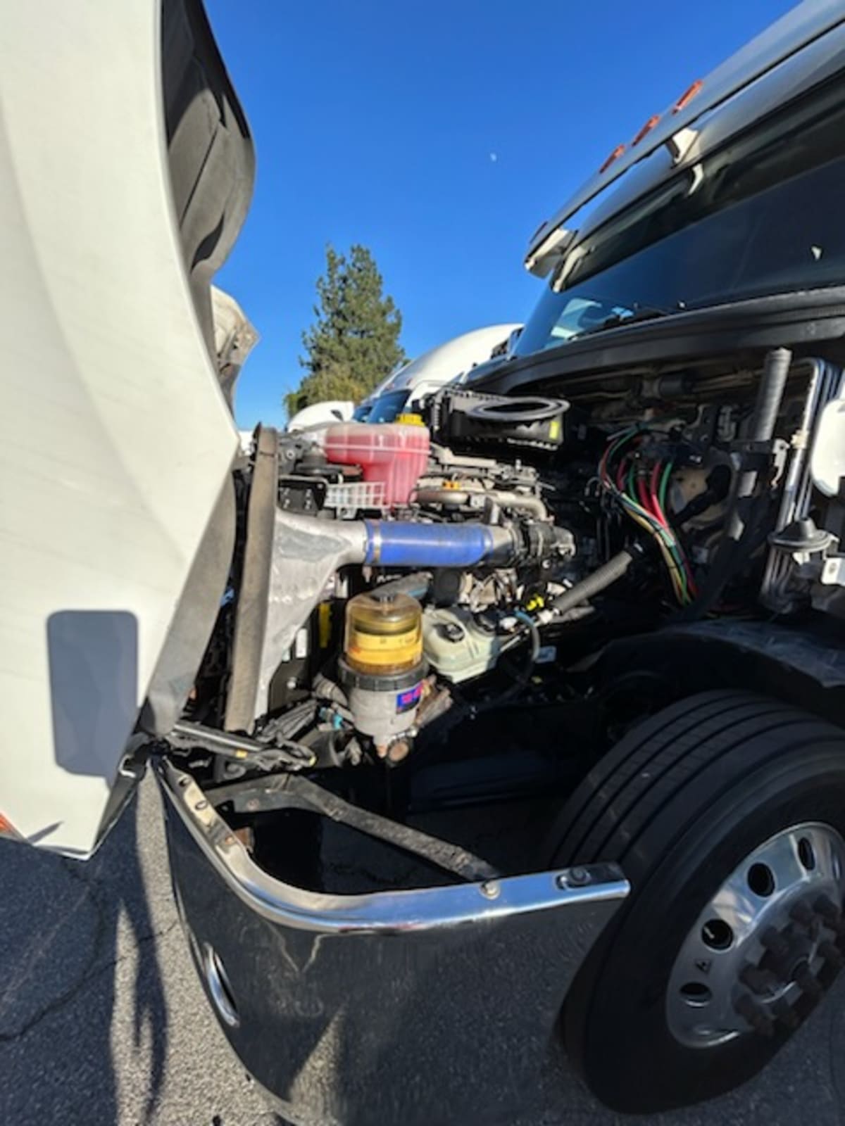 2019 Freightliner - image 9