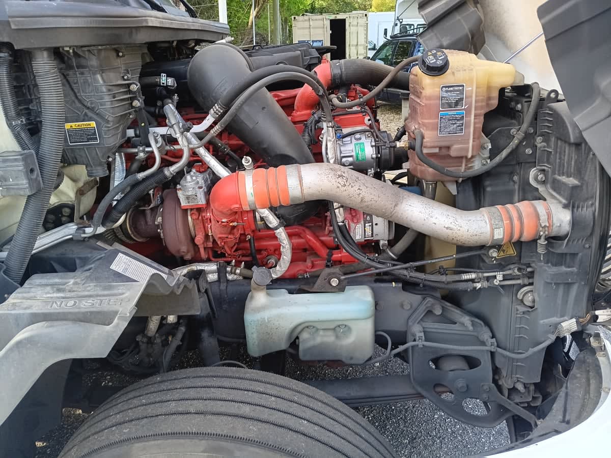 2019 International - image 19