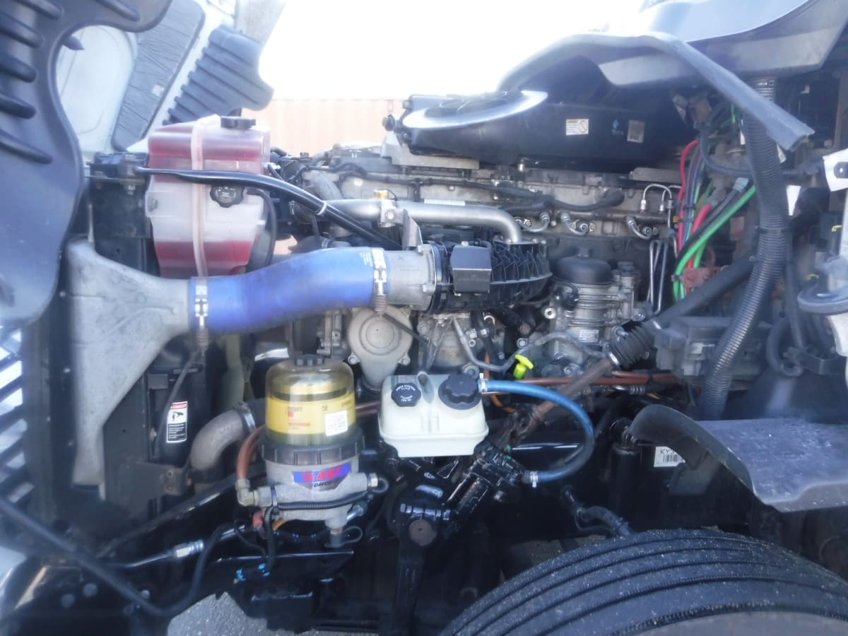 2020 Freightliner/Mercedes CASCADIA 125 869050