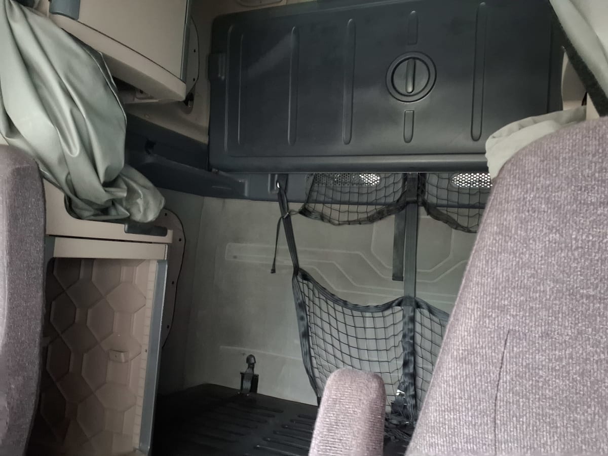 2019 Freightliner/Mercedes CASCADIA 125 869309