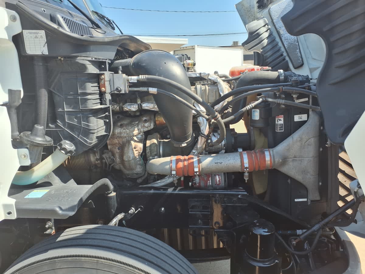 2019 Freightliner/Mercedes CASCADIA 125 869373