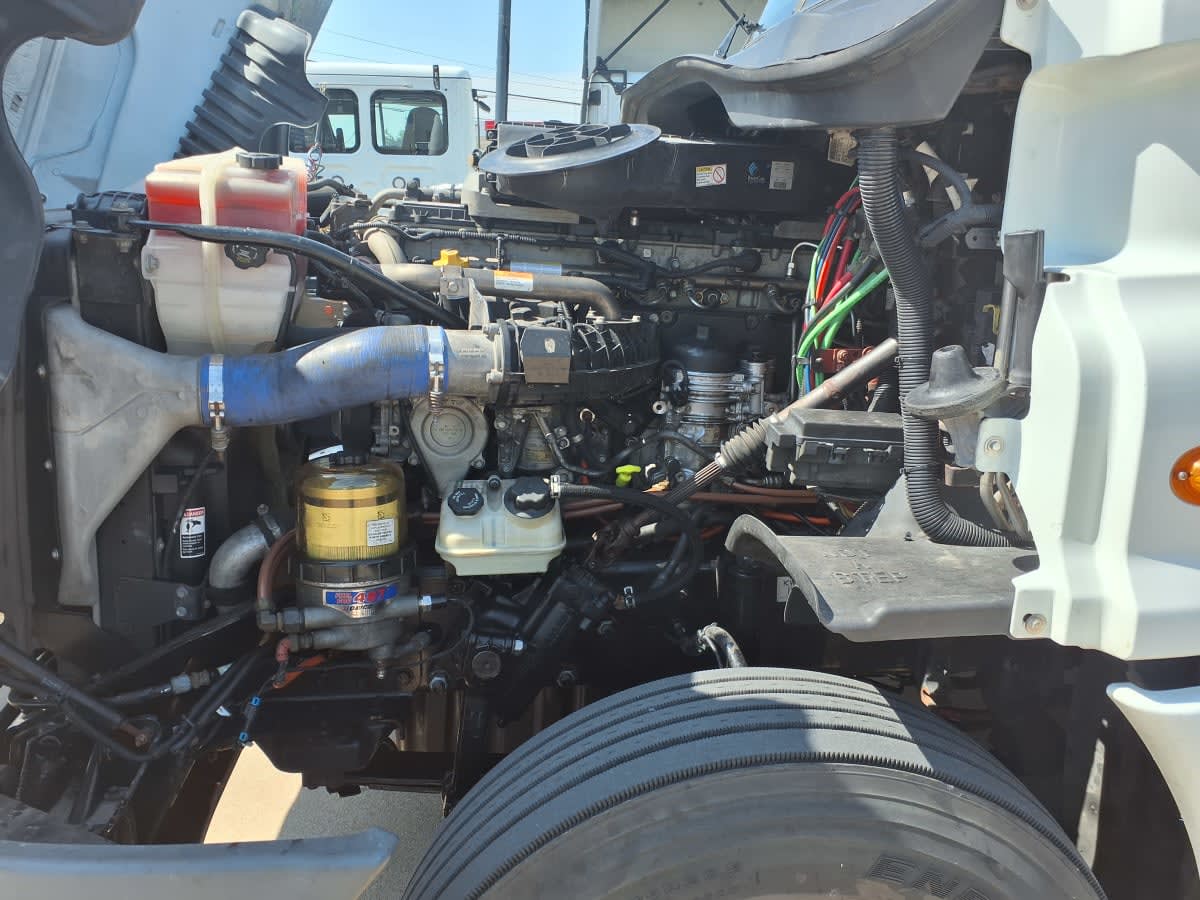 2019 Freightliner/Mercedes CASCADIA 125 869373