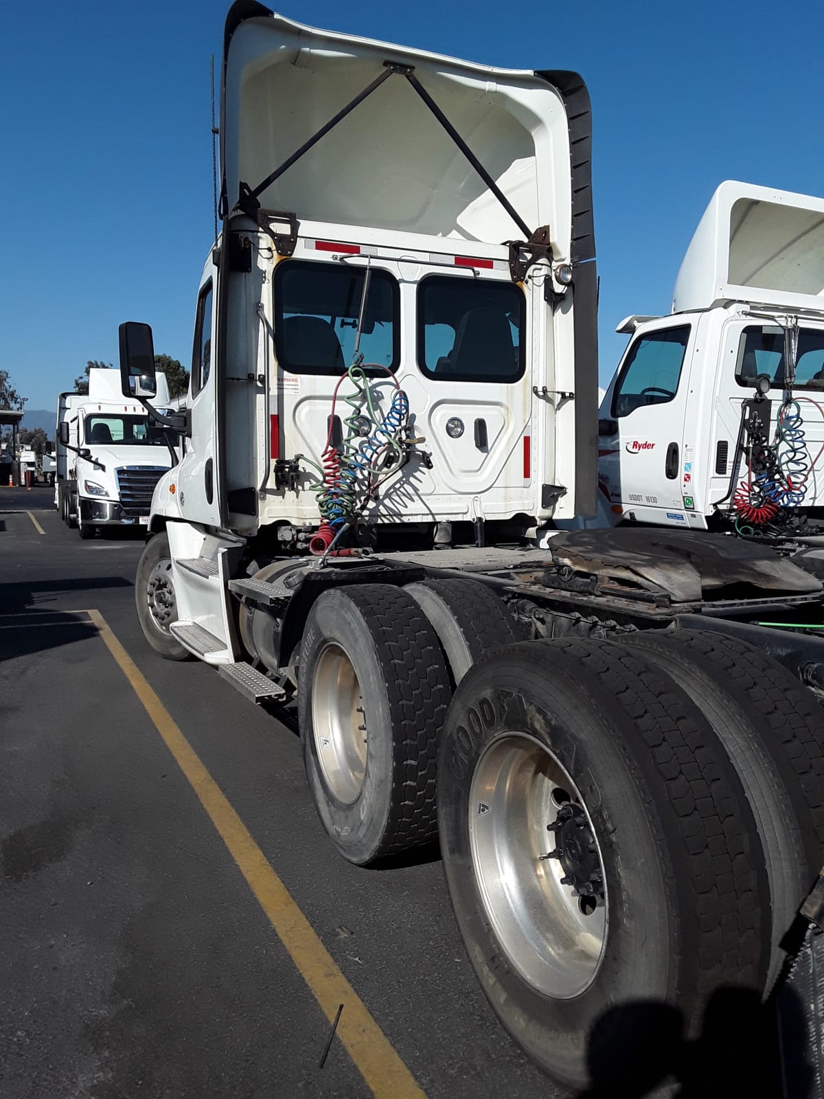 2019 Freightliner/Mercedes CASCADIA 125 869412