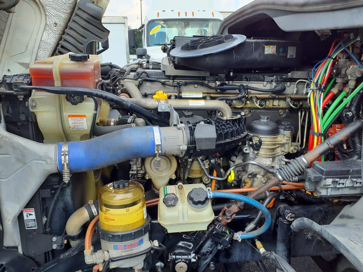 2019 Freightliner/Mercedes CASCADIA 125 869441