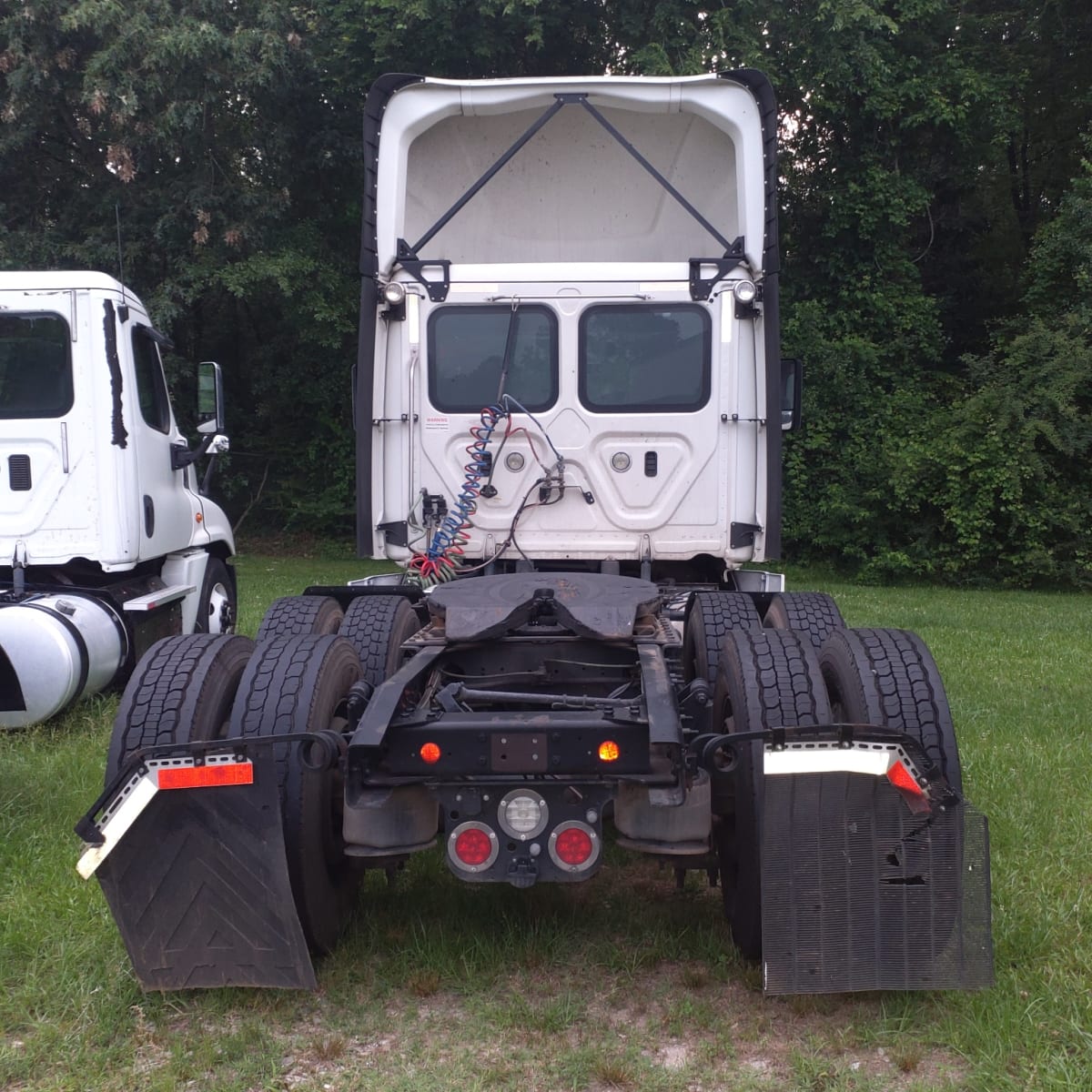 2019 Freightliner/Mercedes CASCADIA 125 869520