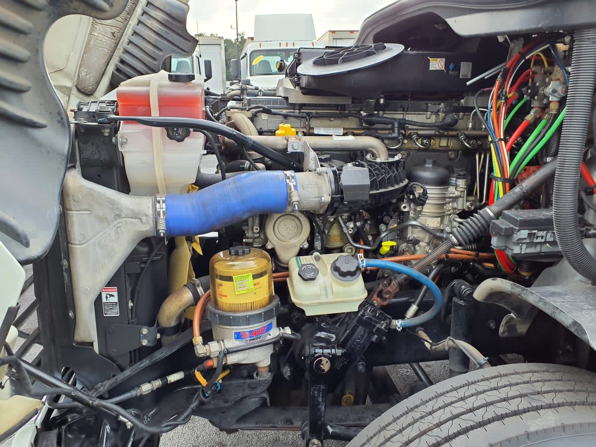 2019 Freightliner CASCADIA 125 869523