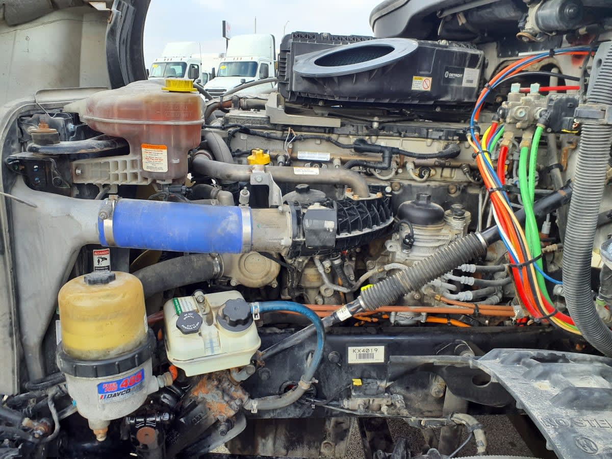 2019 Freightliner/Mercedes NEW CASCADIA PX12664 869544