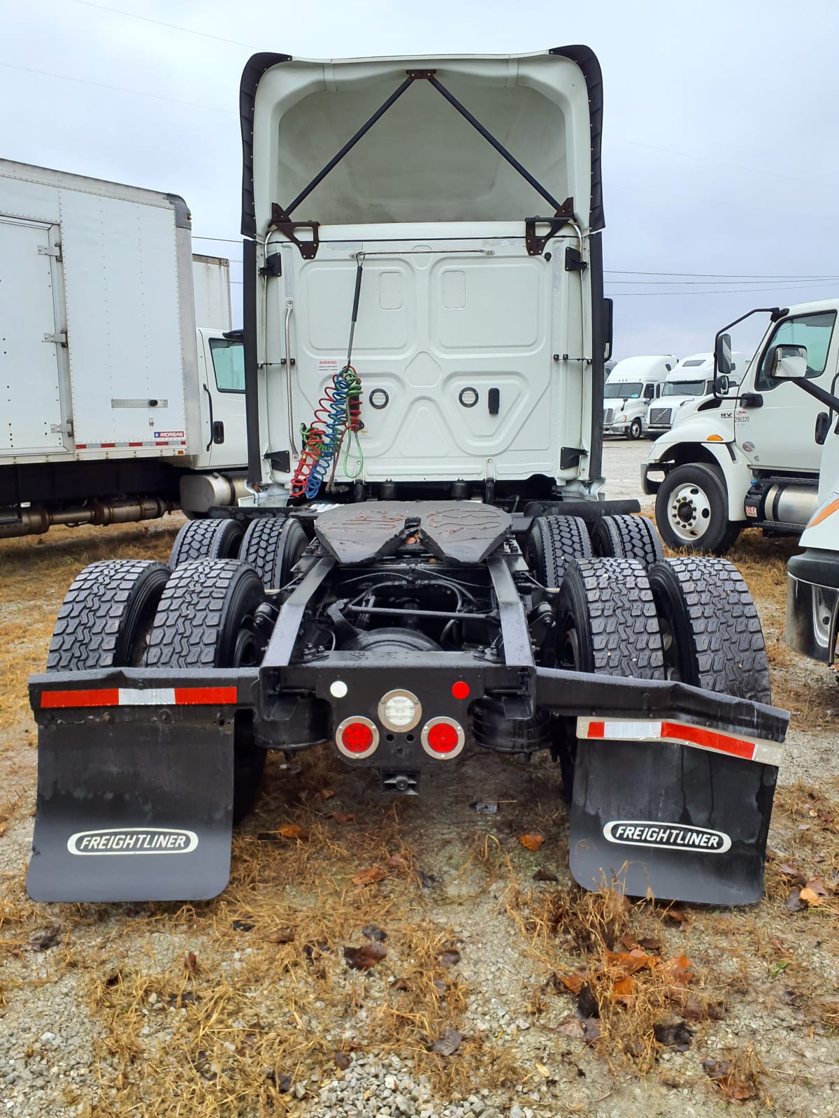 2019 Freightliner/Mercedes NEW CASCADIA PX12664 869558