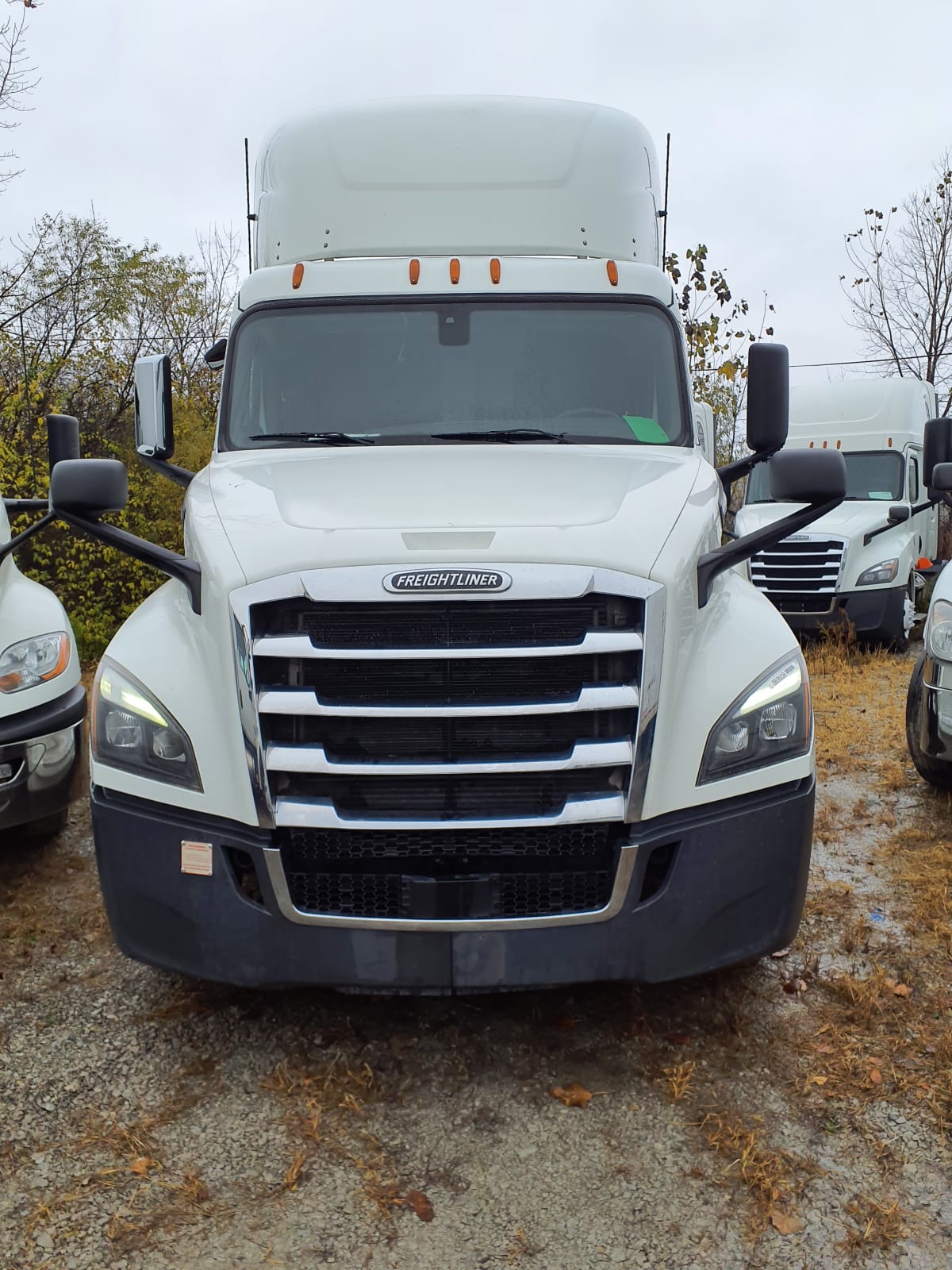 2019 Freightliner/Mercedes NEW CASCADIA PX12664 869558