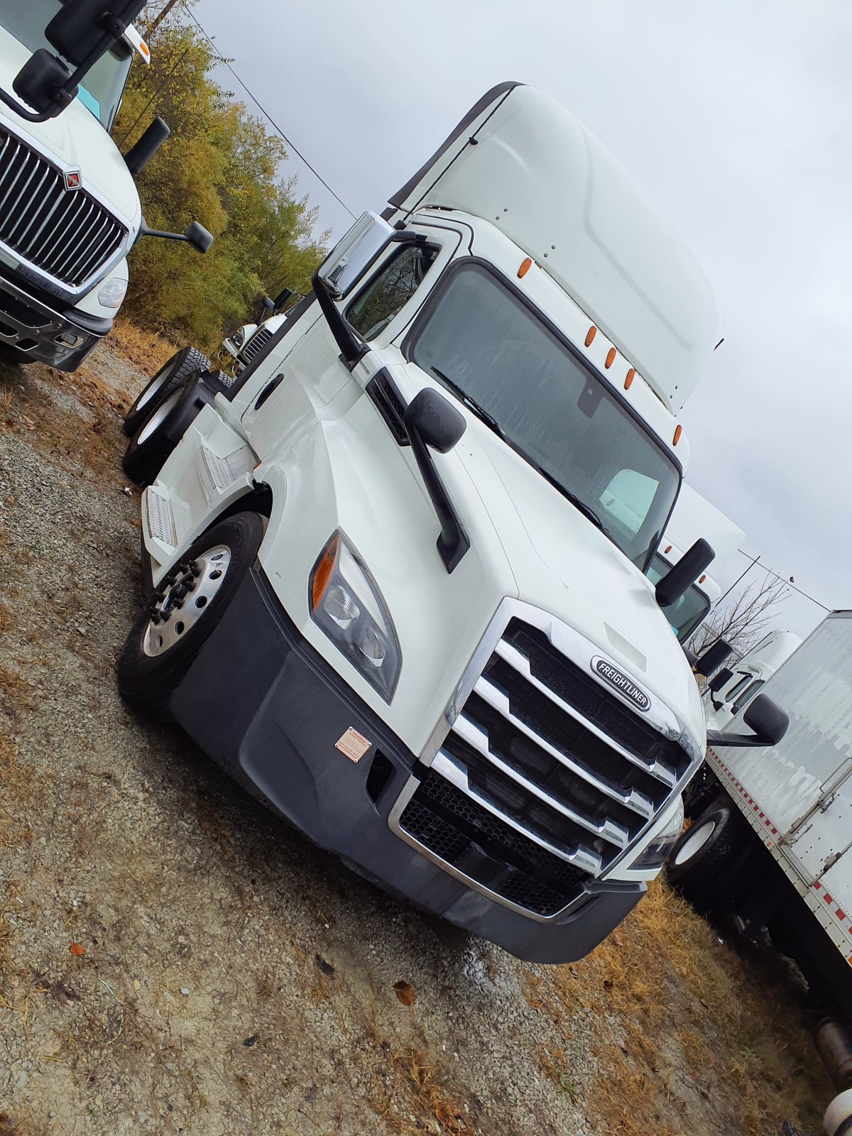 2019 Freightliner/Mercedes NEW CASCADIA PX12664 869558