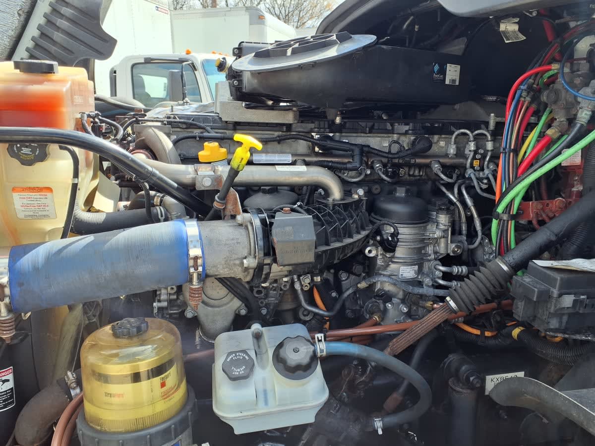 2019 Freightliner/Mercedes CASCADIA 125 869569
