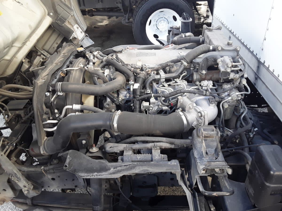 2019 Isuzu NQR 869713