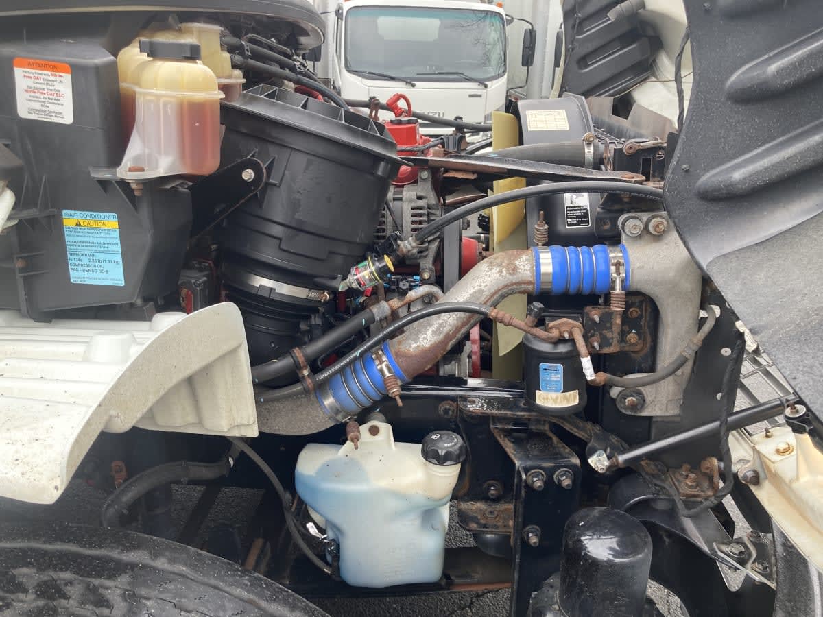 2019 Freightliner/Mercedes M2 106 869834