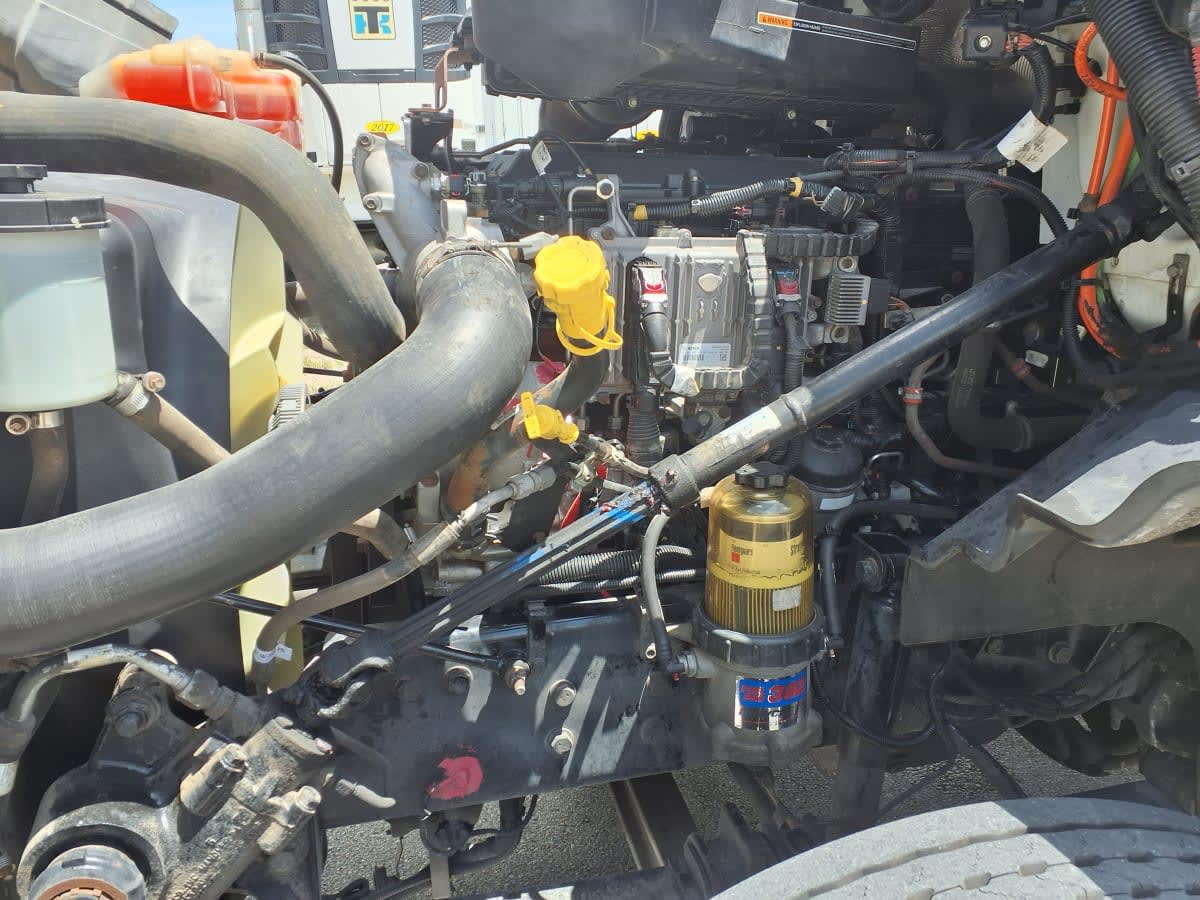 2019 International - image 8