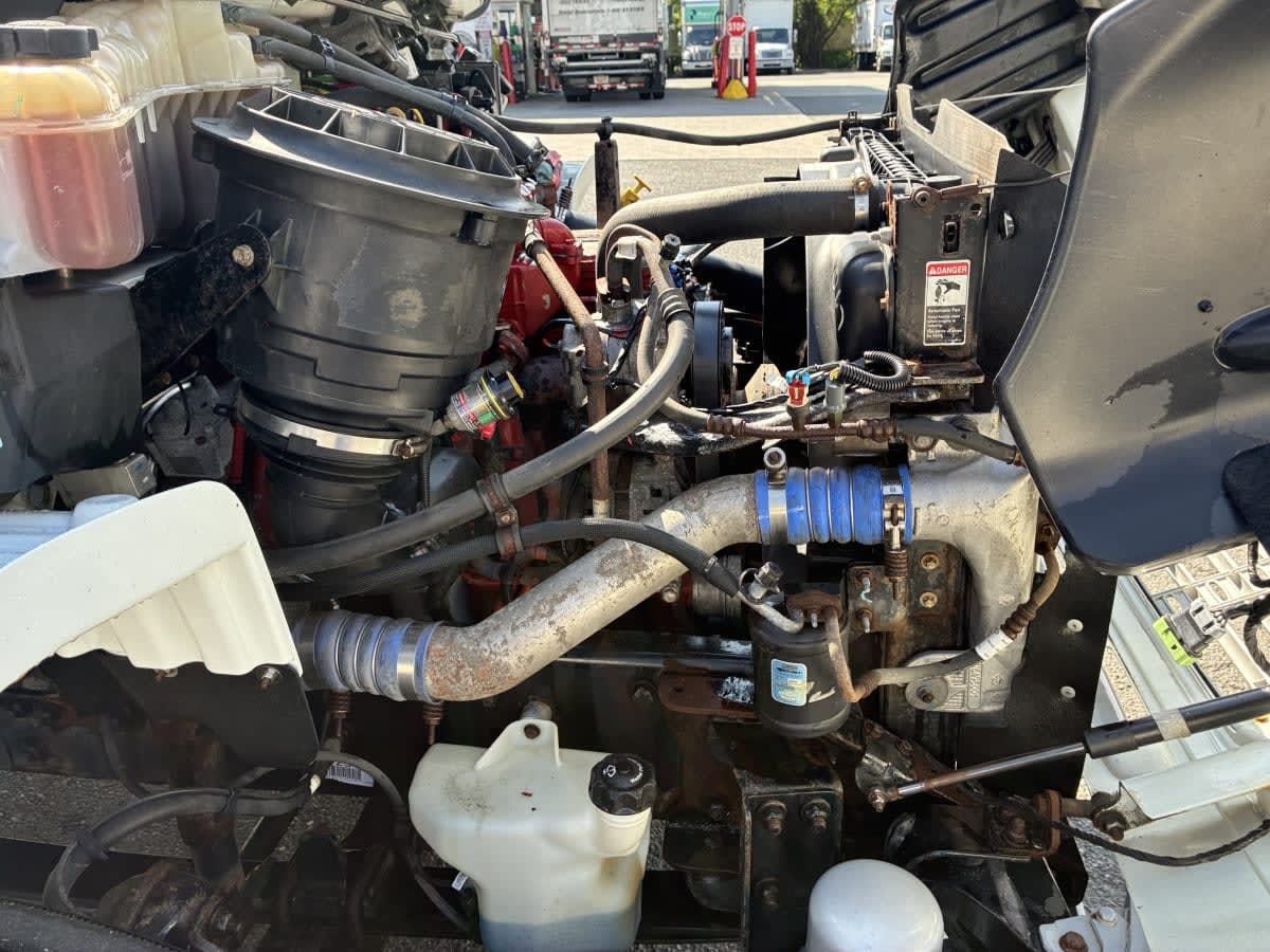 2019 Freightliner/Mercedes M2 106 870038