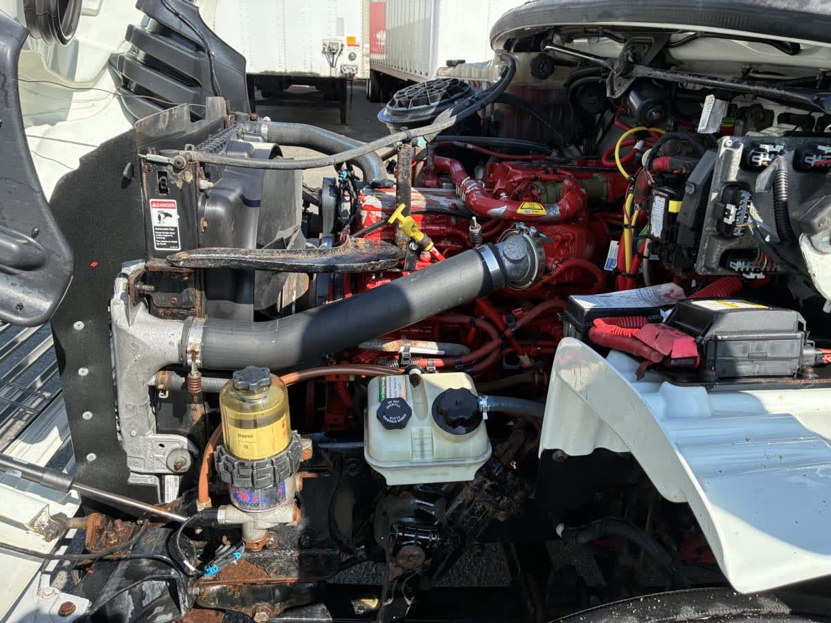 2019 Freightliner/Mercedes M2 106 870038