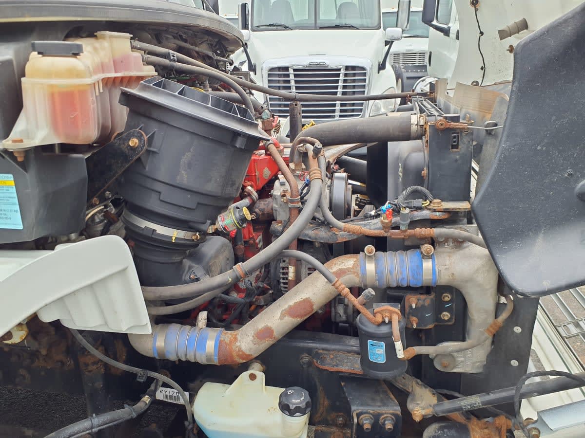 2019 Freightliner/Mercedes M2 106 870047