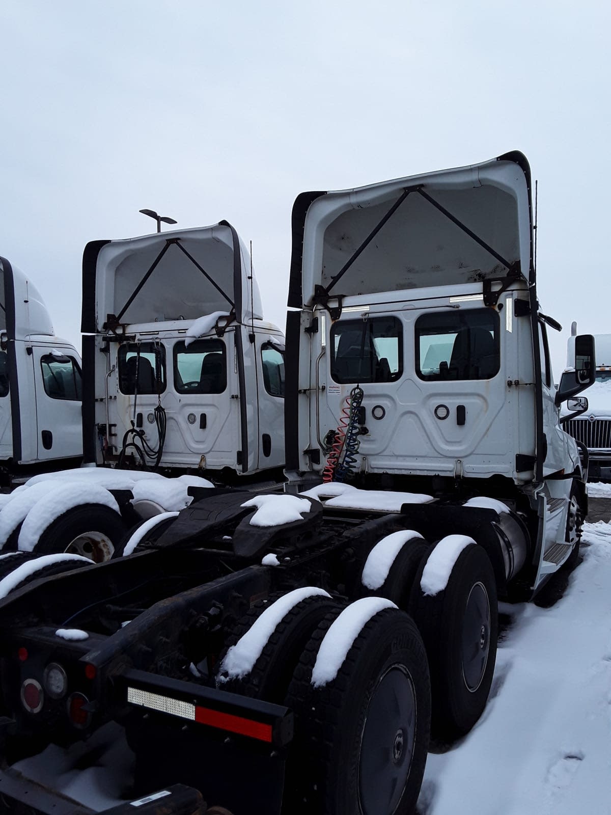 2019 Freightliner/Mercedes NEW CASCADIA PX12664 870078