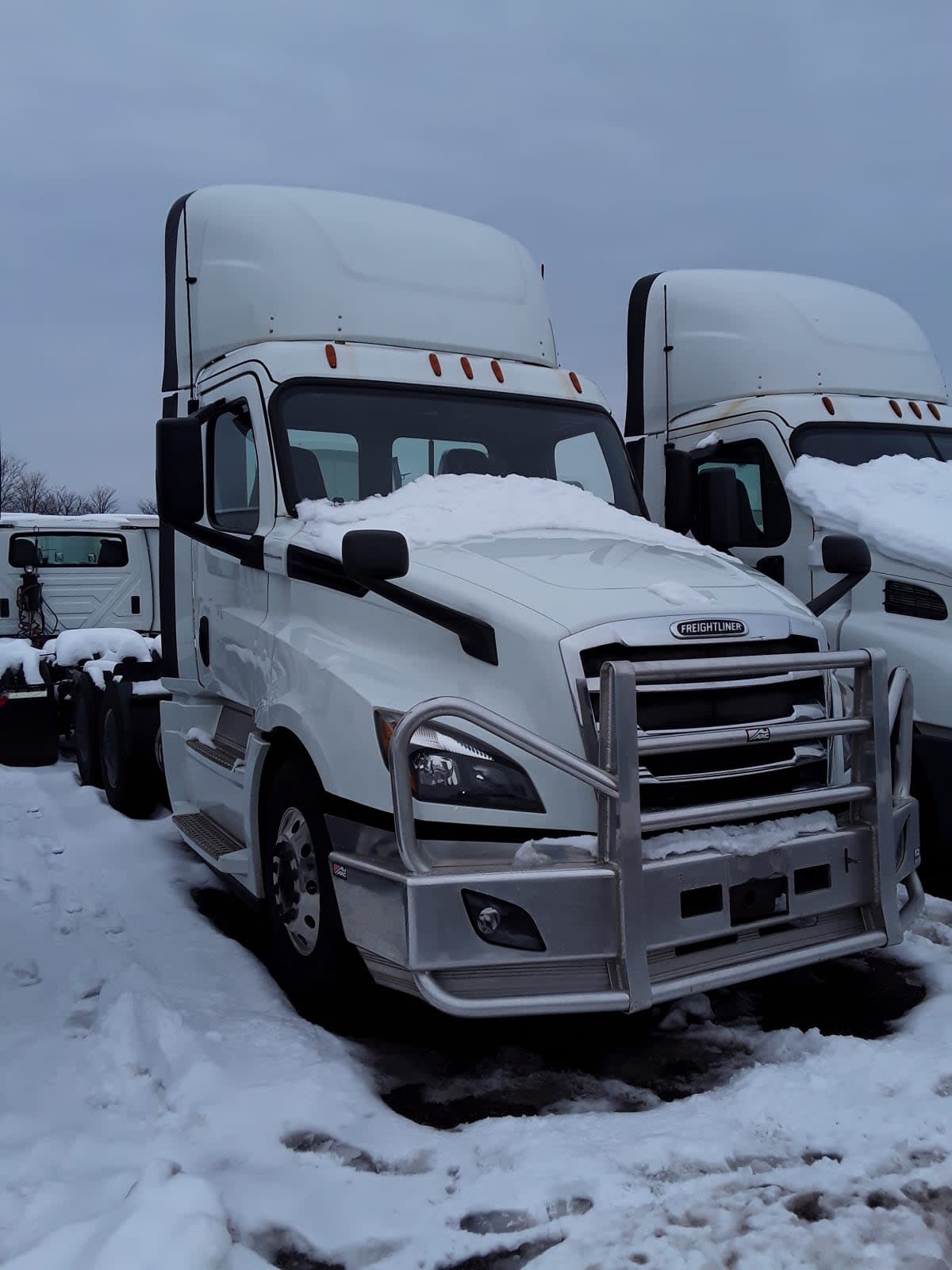 2019 Freightliner/Mercedes NEW CASCADIA PX12664 870078