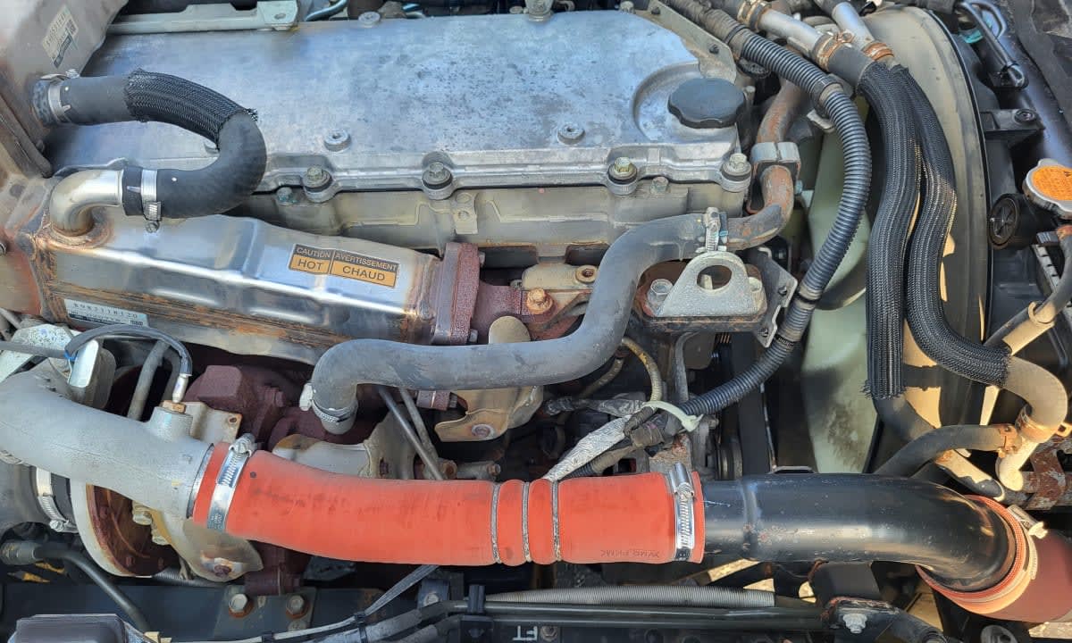 2019 Isuzu NPR HD 870079