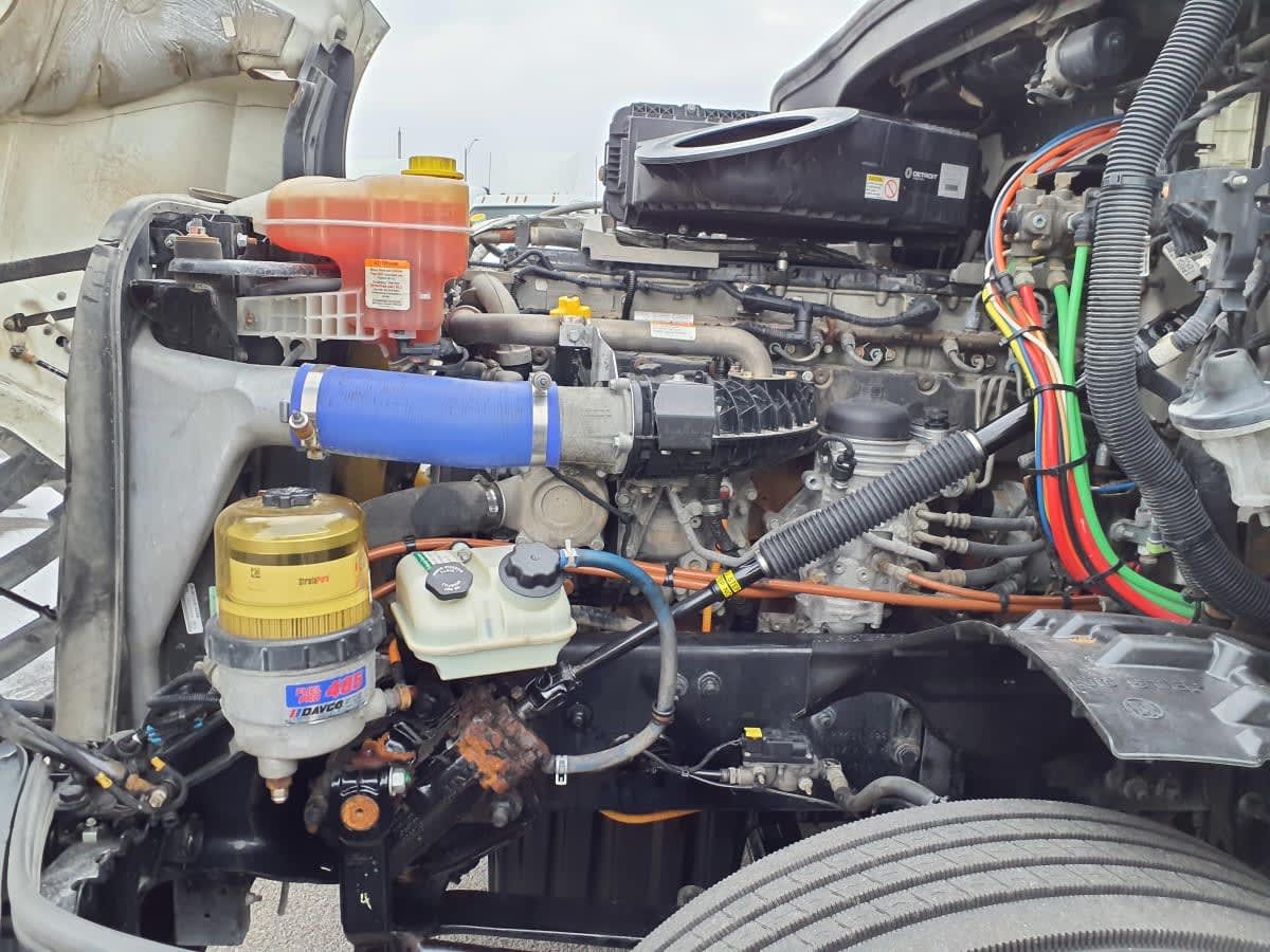 2019 Freightliner/Mercedes NEW CASCADIA PX12664 870113