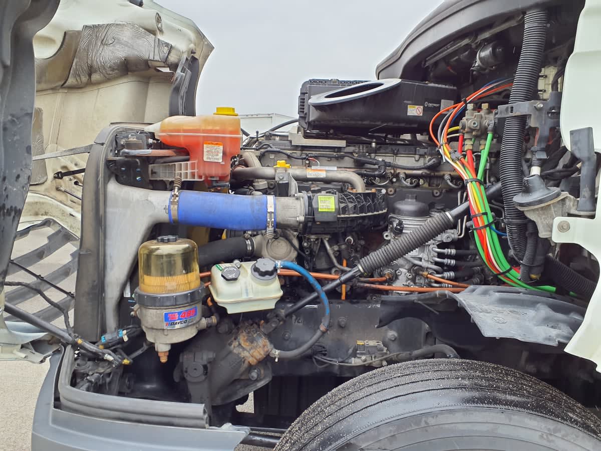 2019 Freightliner/Mercedes NEW CASCADIA PX12664 870156