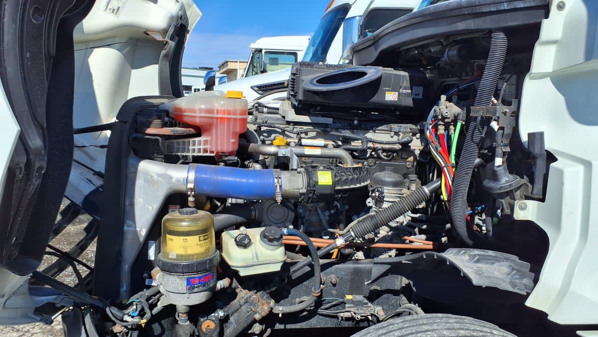 2019 Freightliner/Mercedes NEW CASCADIA PX12664 870157