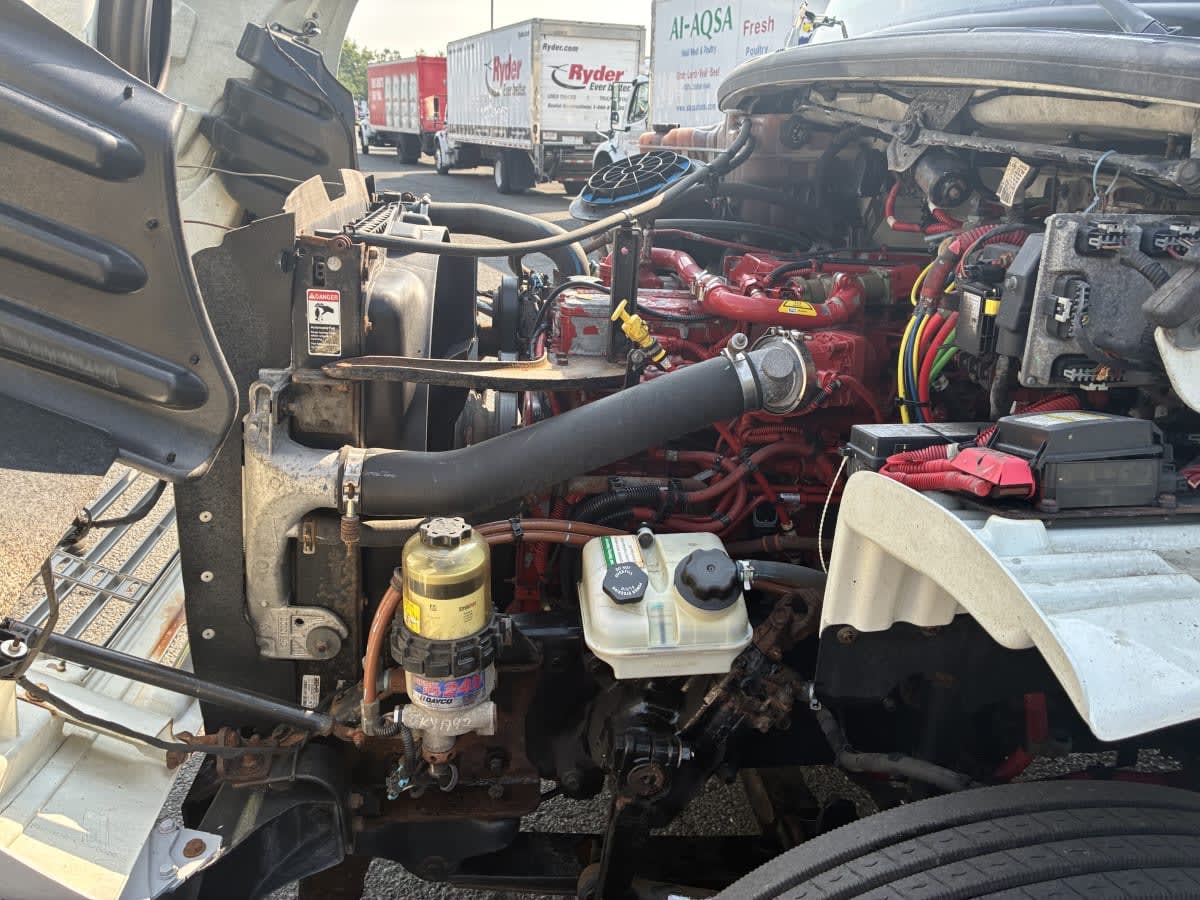 2019 Freightliner/Mercedes M2 106 870190