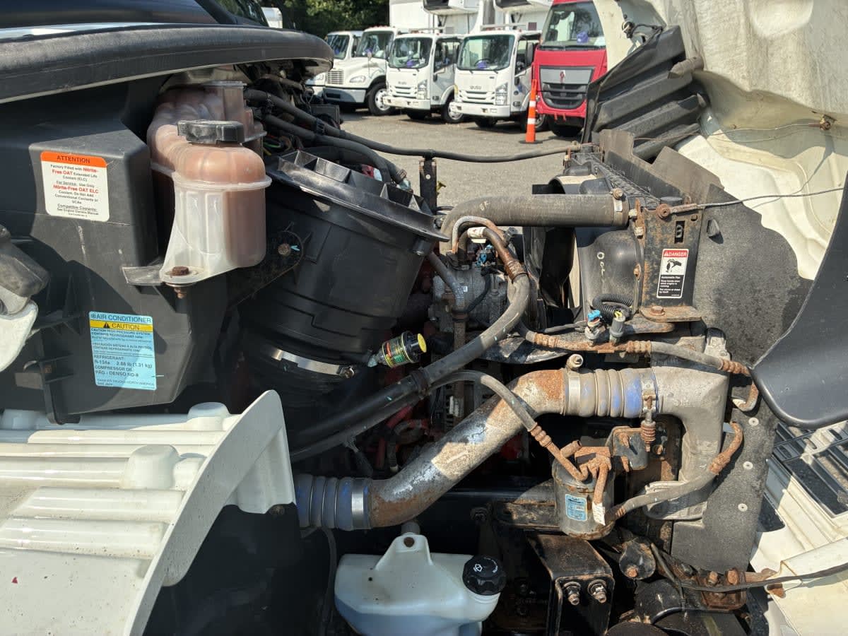 2019 Freightliner/Mercedes M2 106 870190