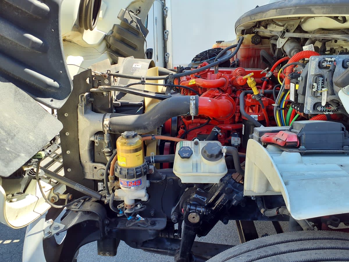 2019 Freightliner/Mercedes M2 106 870209