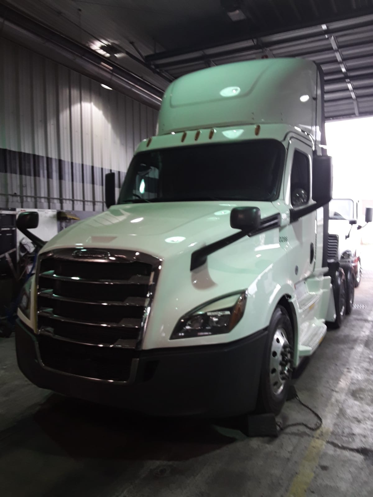 2019 Freightliner/Mercedes NEW CASCADIA PX12664 870286