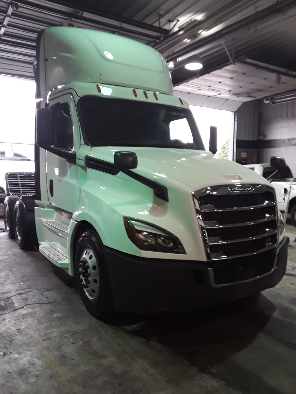 2019 Freightliner/Mercedes NEW CASCADIA PX12664 870286