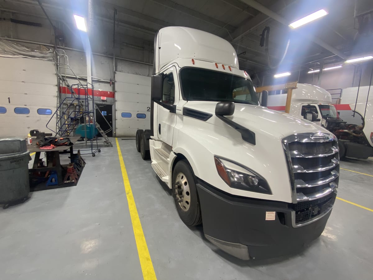 2019 Freightliner/Mercedes NEW CASCADIA PX12664 870311