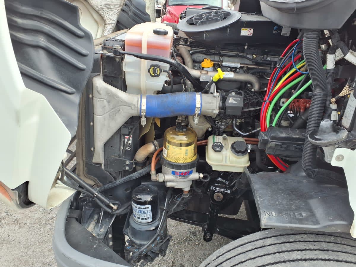 2019 Freightliner/Mercedes CASCADIA 113 870340