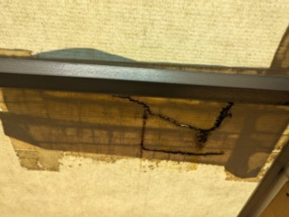 2019 Freightliner/Mercedes M2 106 870482