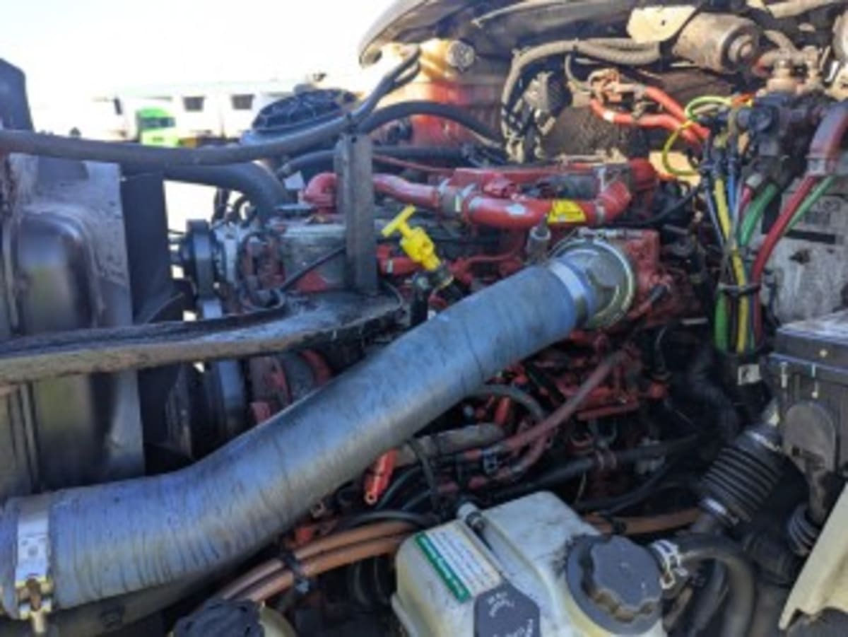 2019 Freightliner/Mercedes M2 106 870482