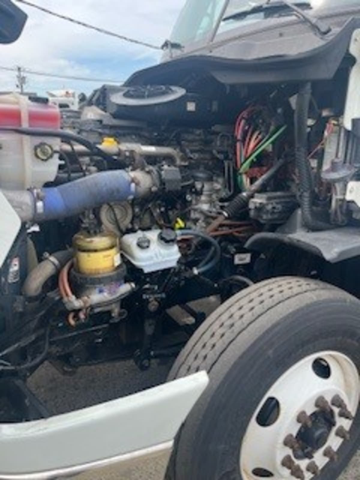 2019 Freightliner/Mercedes CASCADIA 125 870495