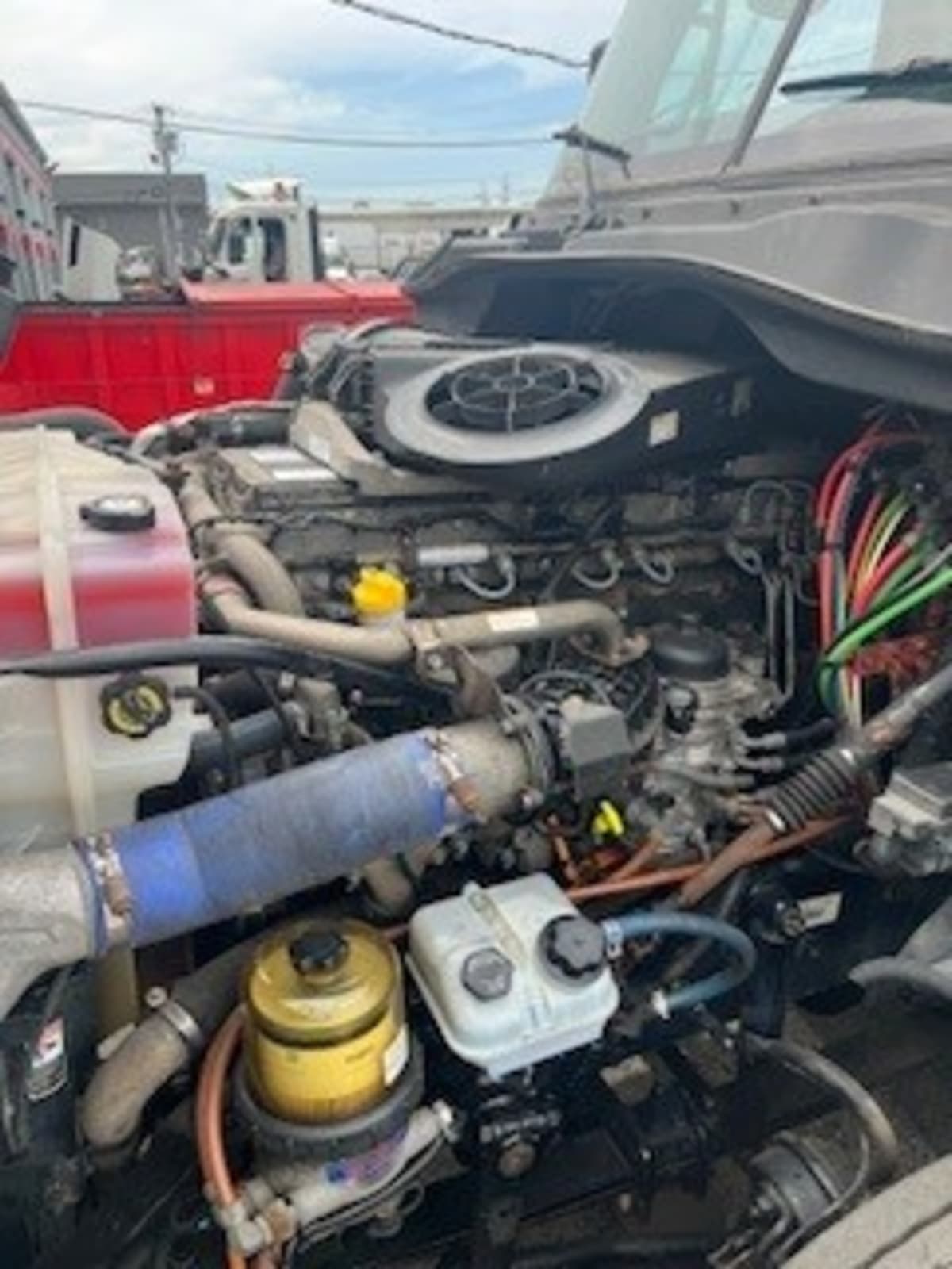 2019 Freightliner/Mercedes CASCADIA 125 870495