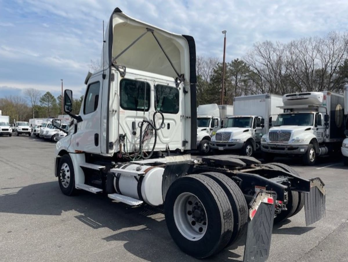 2019 Freightliner - image 6