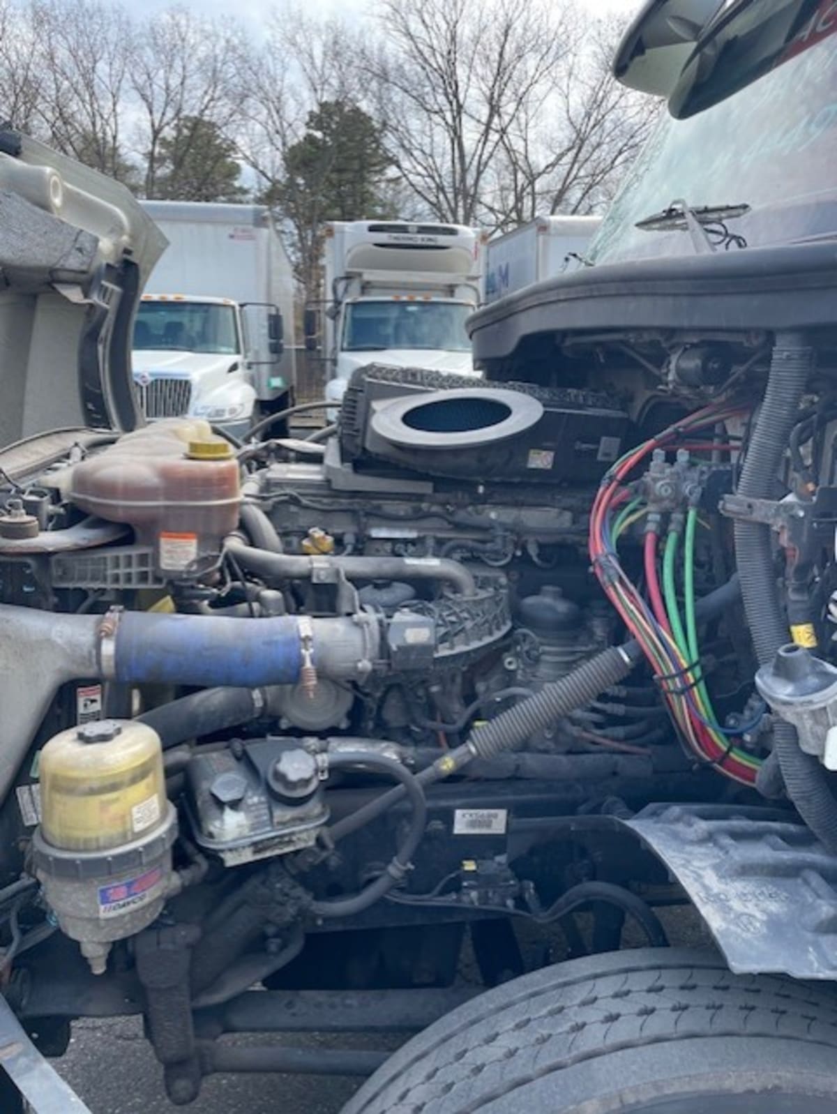 2019 Freightliner - image 8