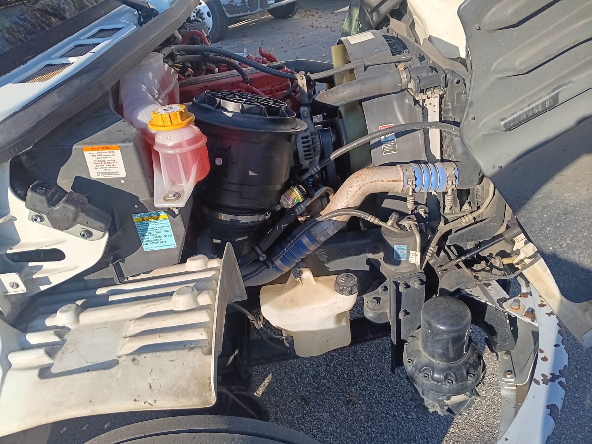 2019 Freightliner/Mercedes M2 106 870694