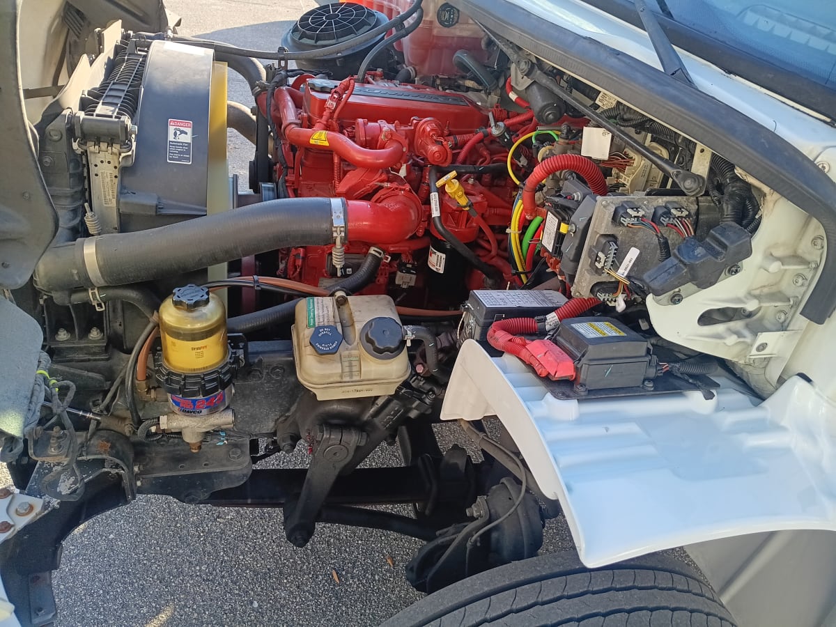 2019 Freightliner/Mercedes M2 106 870694