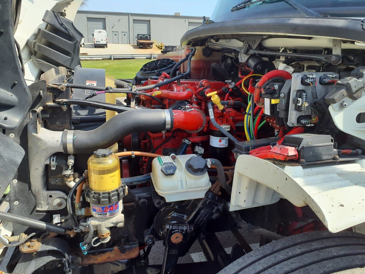 2019 Freightliner/Mercedes M2 106 870758