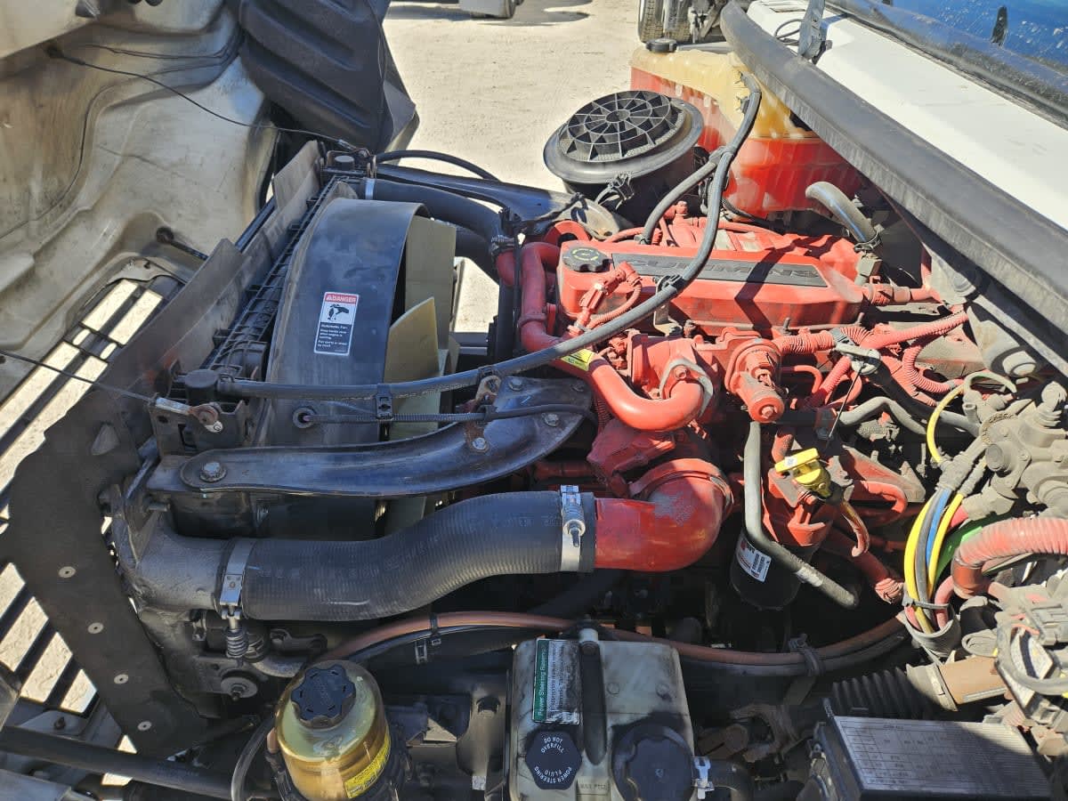 2019 Freightliner/Mercedes M2 106 870788