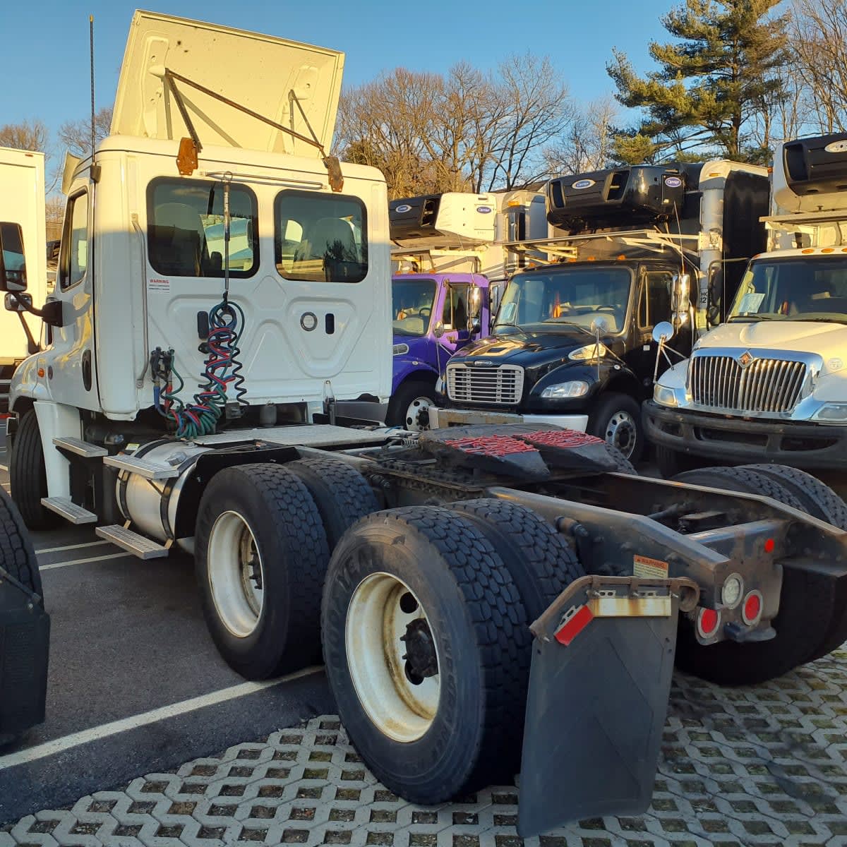 2019 Freightliner - image 6