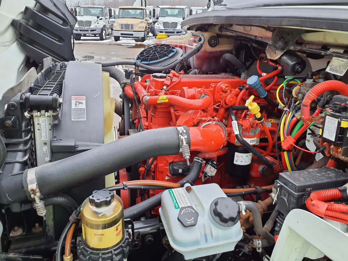 2020 Freightliner/Mercedes M2 106 870823