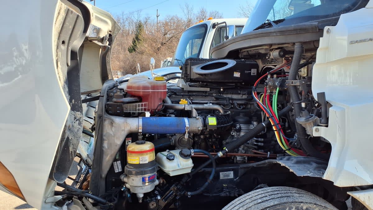 2019 Freightliner/Mercedes NEW CASCADIA PX12664 870825