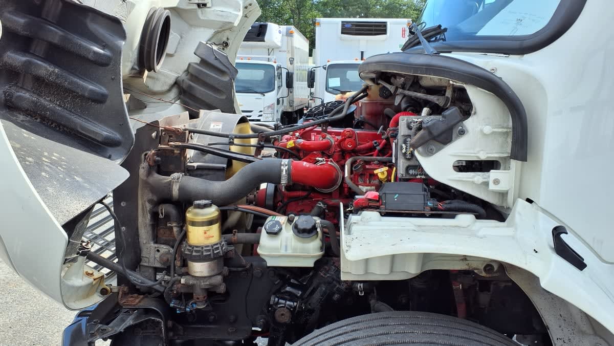 2019 Freightliner/Mercedes M2 106 870855