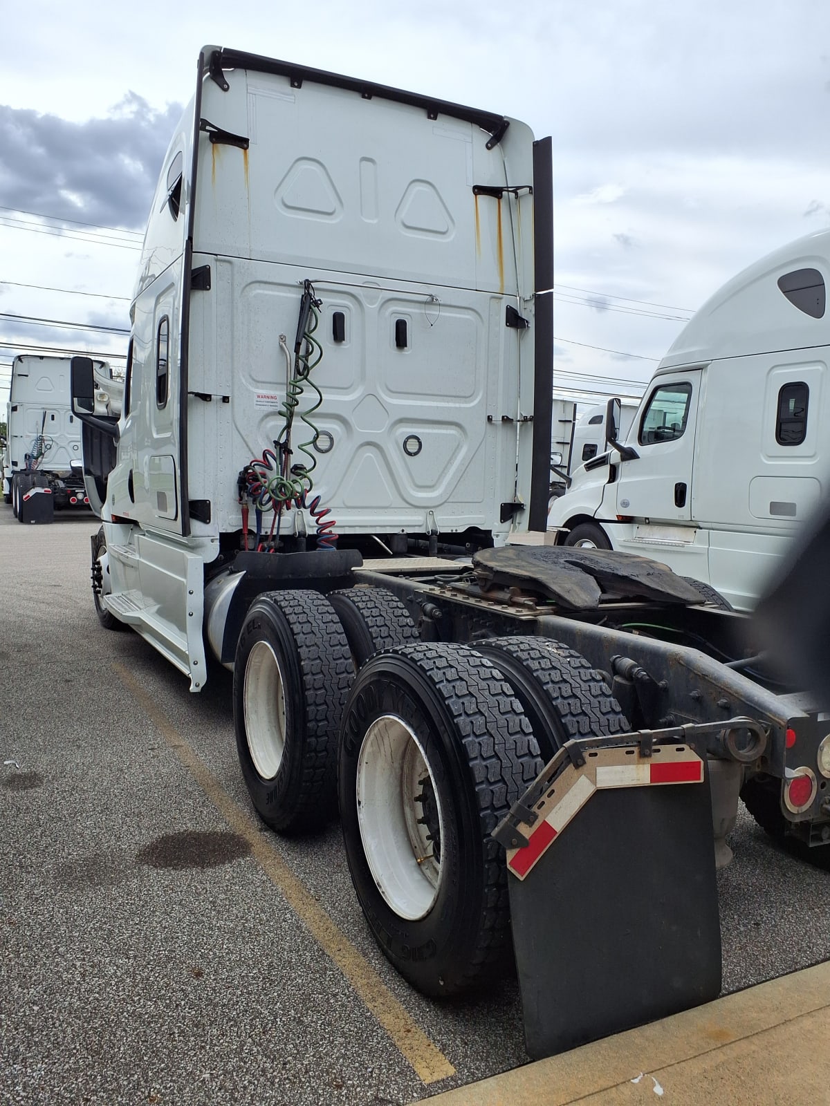 2019 Freightliner/Mercedes NEW CASCADIA PX12664 870907