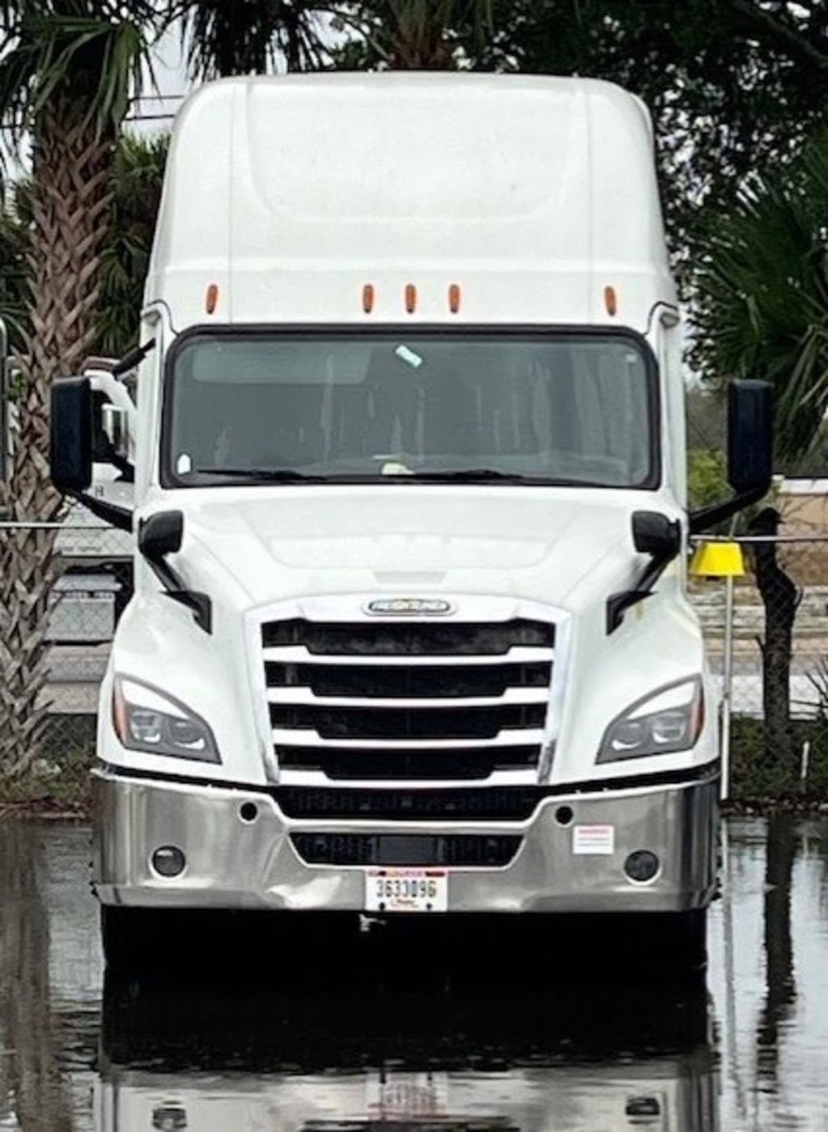 2019 Freightliner/Mercedes NEW CASCADIA PX12664 870912